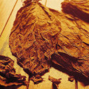 Naturally Extracted Tobaccos